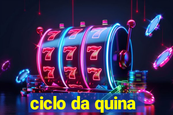 ciclo da quina